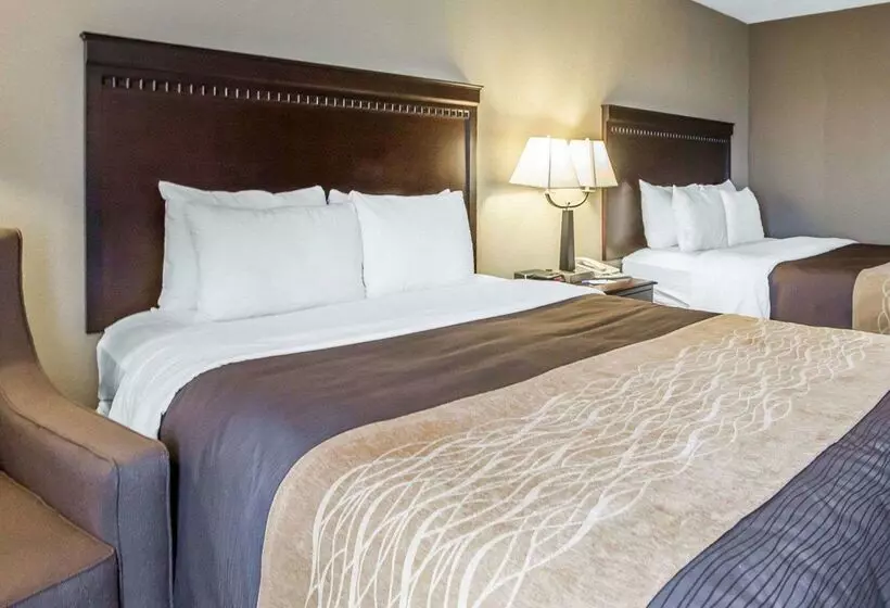 호텔 Comfort Inn & Suites Near Tinley Park Amphitheater