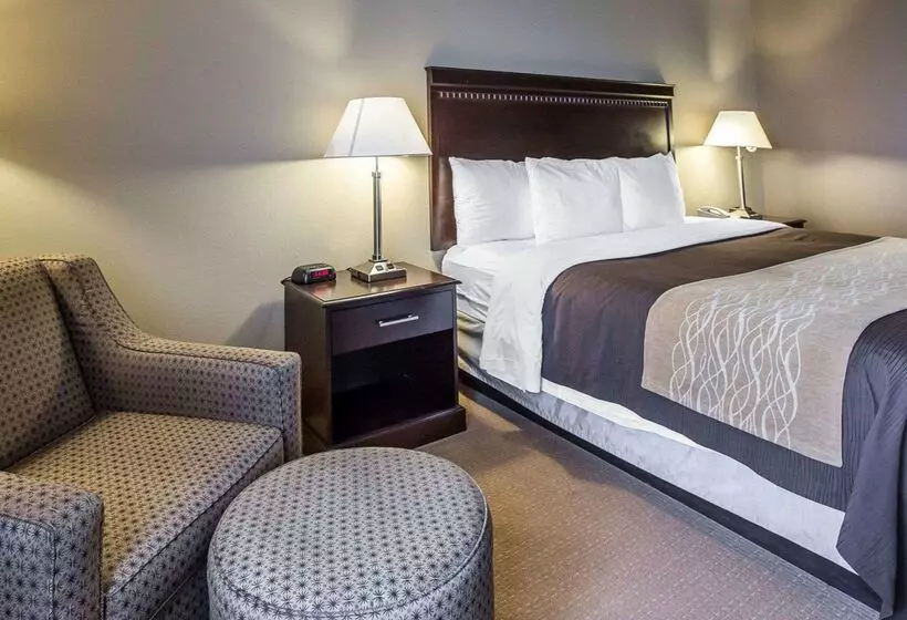 호텔 Comfort Inn & Suites Near Tinley Park Amphitheater