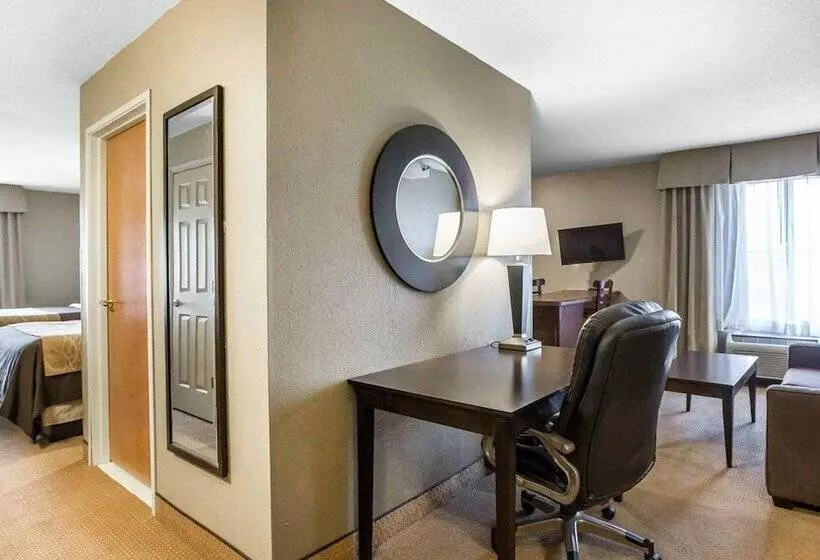 호텔 Comfort Inn & Suites Near Tinley Park Amphitheater