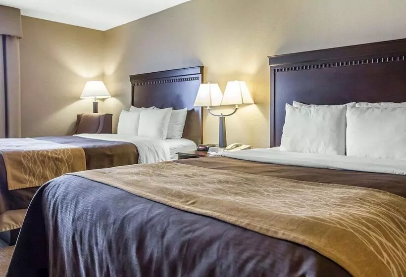 호텔 Comfort Inn & Suites Near Tinley Park Amphitheater