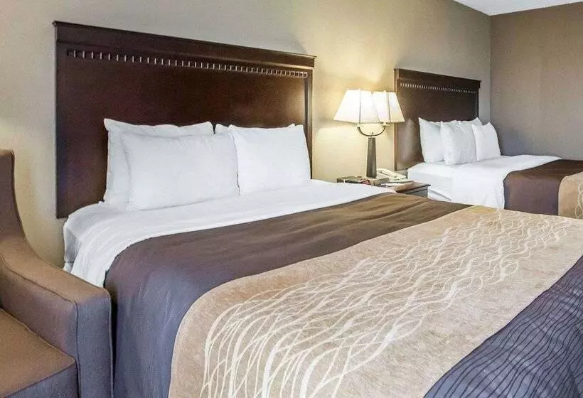 호텔 Comfort Inn & Suites Near Tinley Park Amphitheater