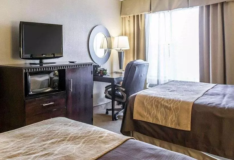 호텔 Comfort Inn & Suites Near Tinley Park Amphitheater