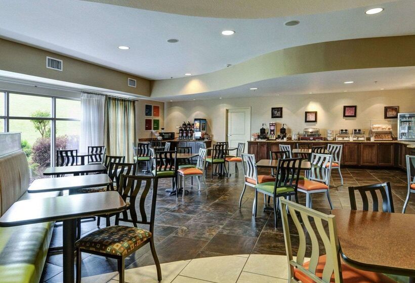 호텔 Comfort Suites Near Hot Springs Park