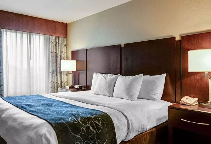 هتل Comfort Suites Near Hot Springs Park