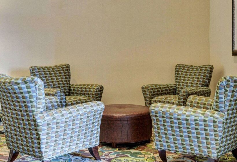 호텔 Comfort Suites Near Hot Springs Park