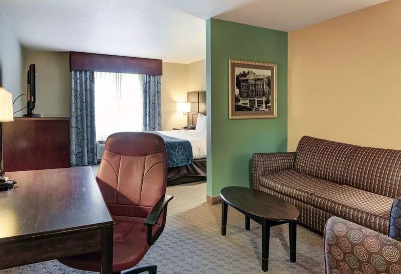 هتل Comfort Suites Near Hot Springs Park