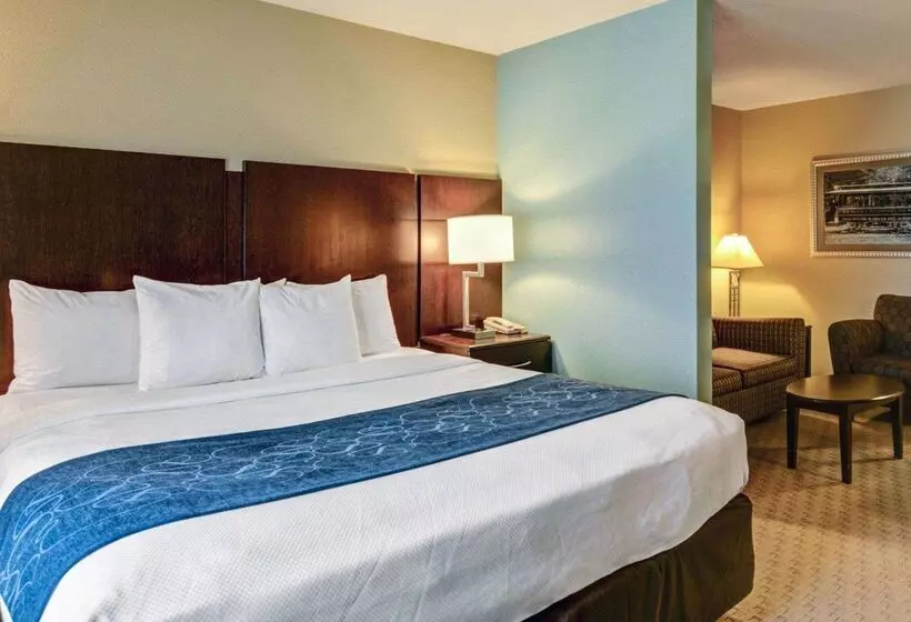 هتل Comfort Suites Near Hot Springs Park