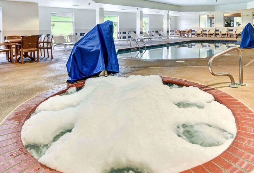 호텔 Comfort Suites Near Hot Springs Park