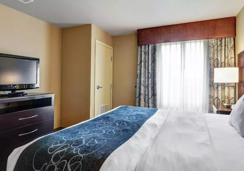 هتل Comfort Suites Near Hot Springs Park