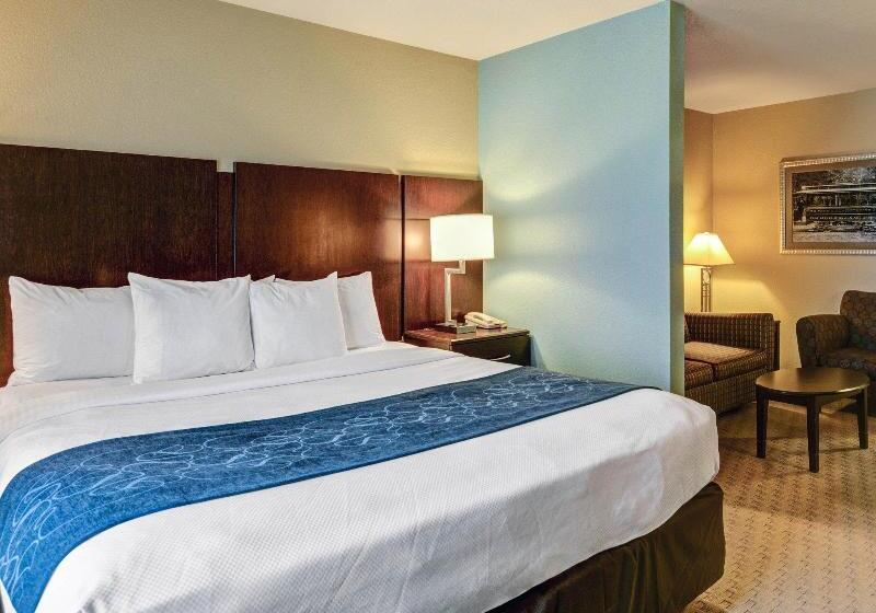 호텔 Comfort Suites Near Hot Springs Park