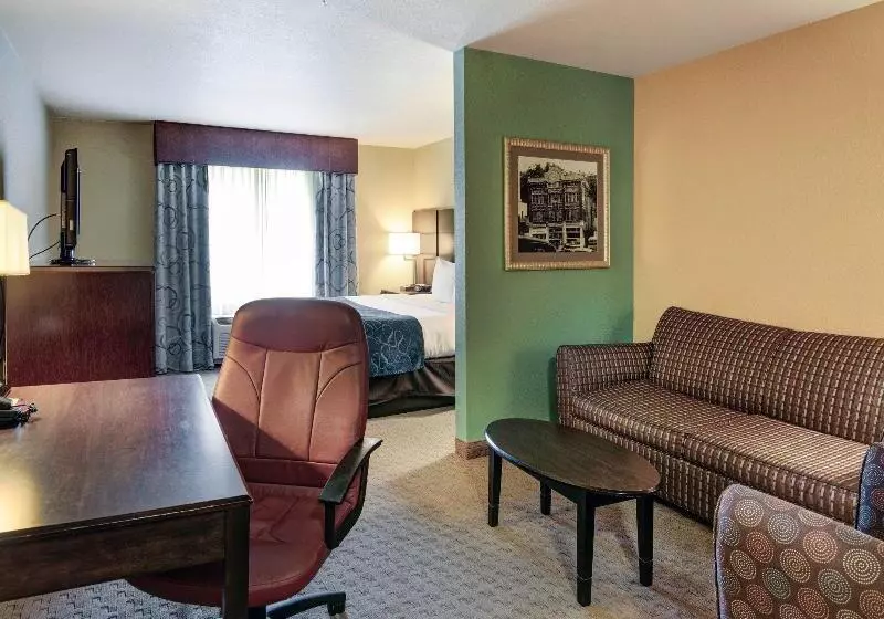 هتل Comfort Suites Near Hot Springs Park