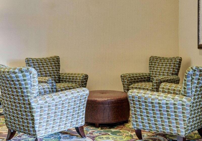 호텔 Comfort Suites Near Hot Springs Park