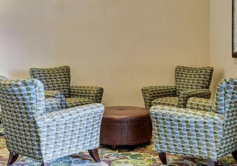 هتل Comfort Suites Near Hot Springs Park