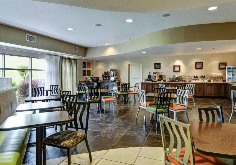 호텔 Comfort Suites Near Hot Springs Park