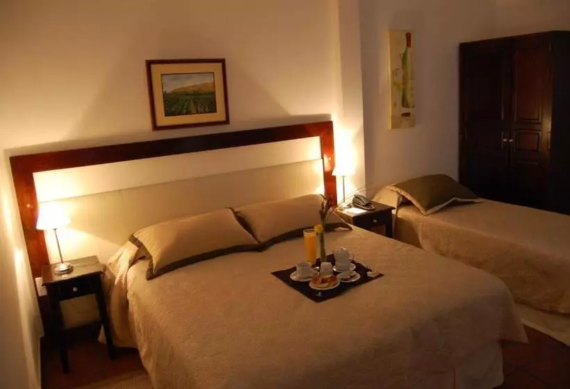 호텔 Delvino Boutique