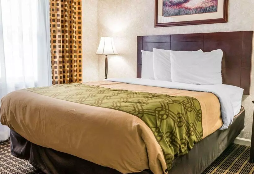 酒店 Econo Lodge & Suites