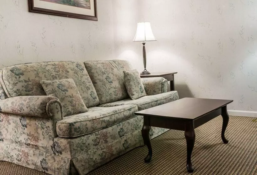 酒店 Econo Lodge & Suites