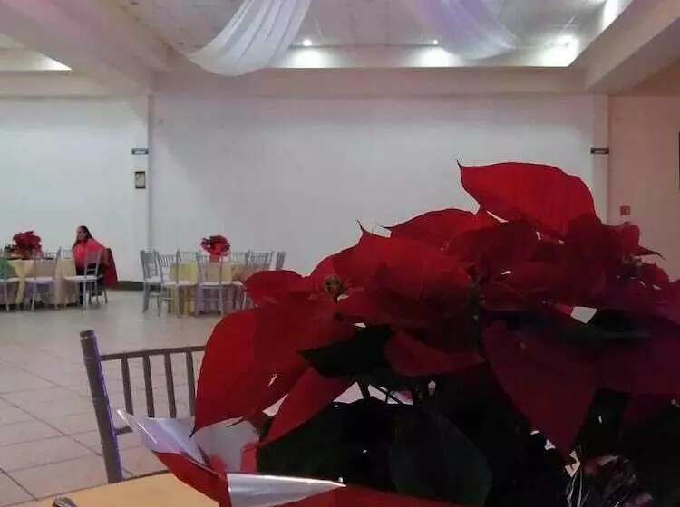 هتل El Cason And Suites