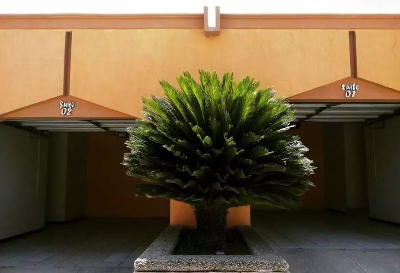 هتل El Cason And Suites