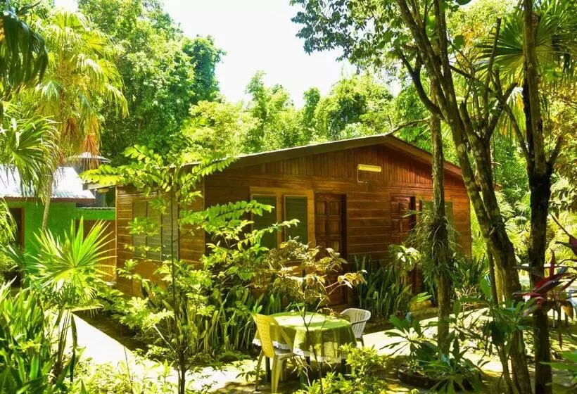 هتل Lighthouse Inn 2