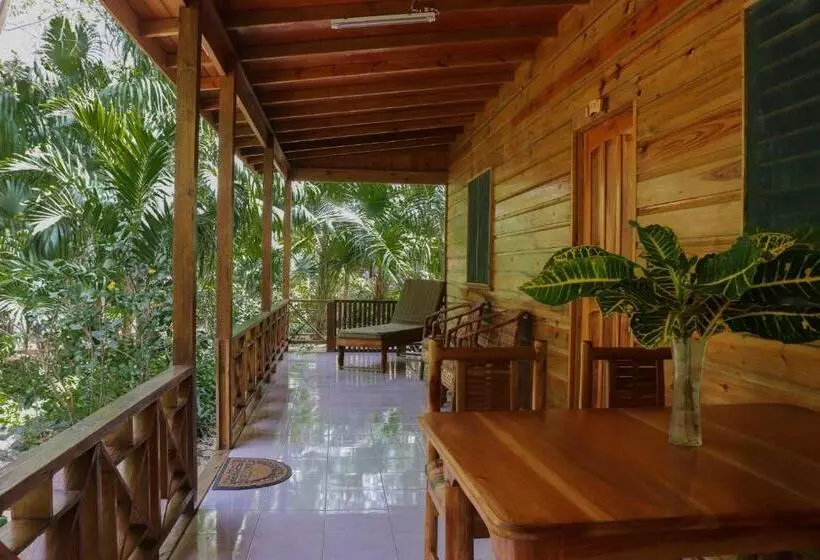 هتل Lighthouse Inn 2