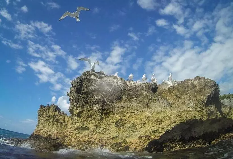 هتل Lighthouse Inn 2