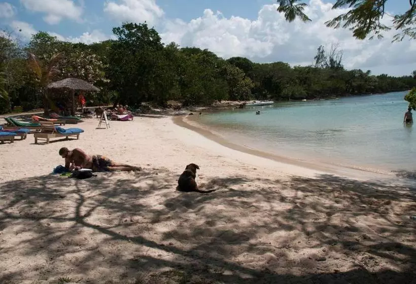 هتل Lighthouse Inn 2