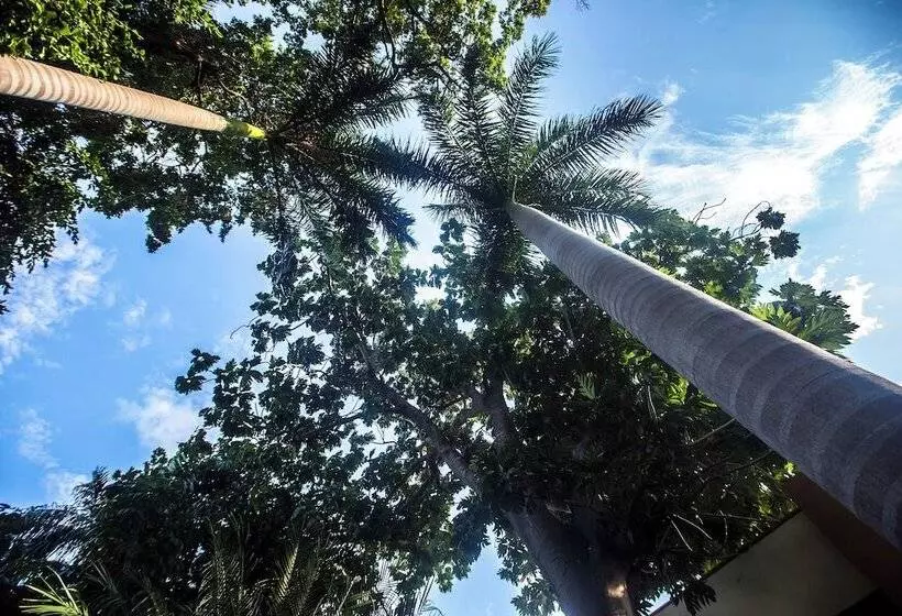 בית מלון כפרי Plaza Mirador