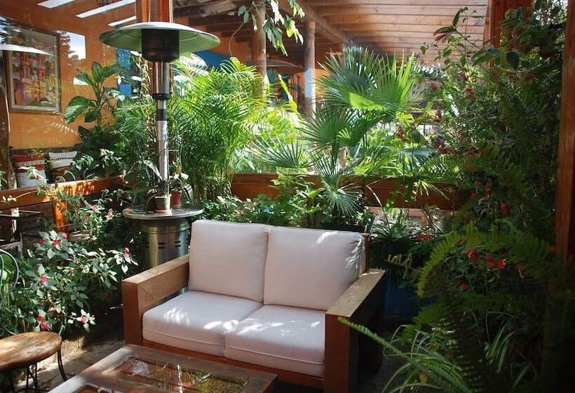 فندق Posada El Paraíso