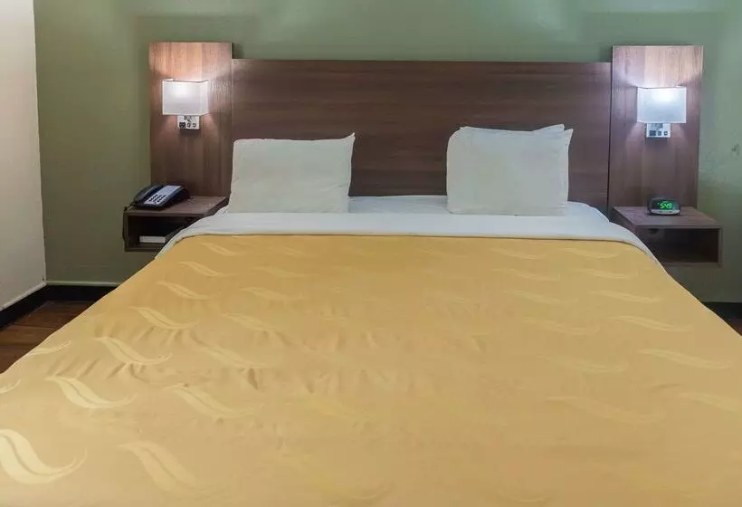 ホテル Quality Inn Richmond Hill Savannah I95