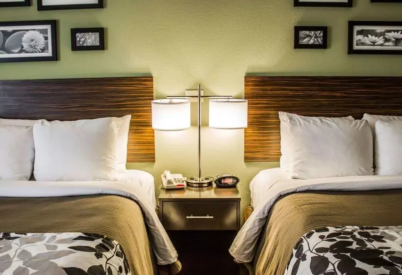 בית מלון כפרי Sleep Inn & Suites