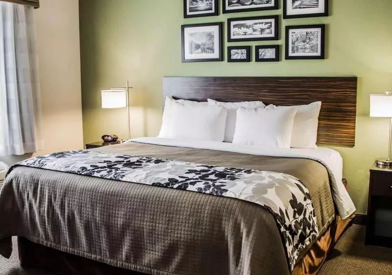 בית מלון כפרי Sleep Inn & Suites