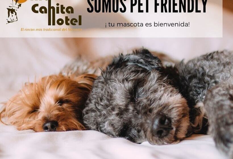 فندق Villa Cahita