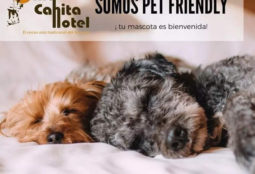 ホテル Villa Cahita