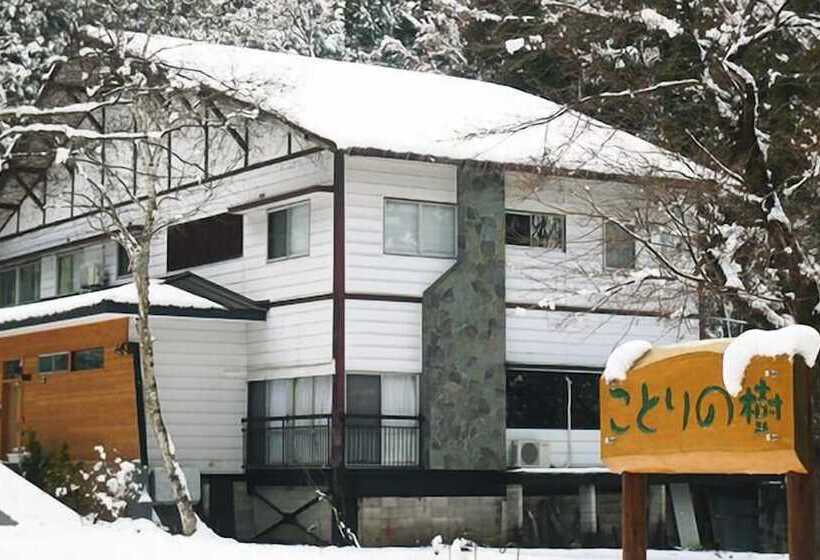 Отель Japanese Style Pension Kotorinoki