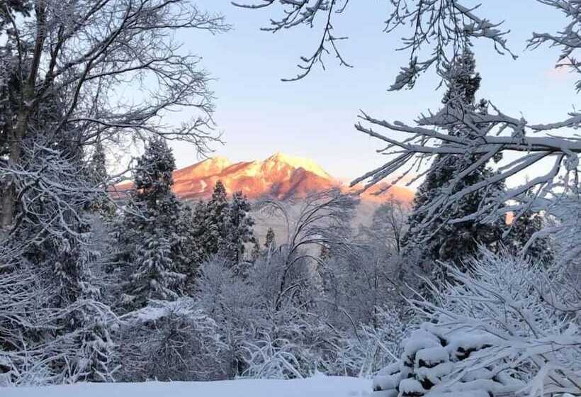 Otel Japanese Style Pension Kotorinoki