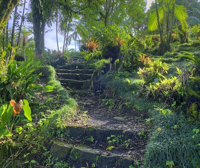 هتل Las Cruces Biological Station