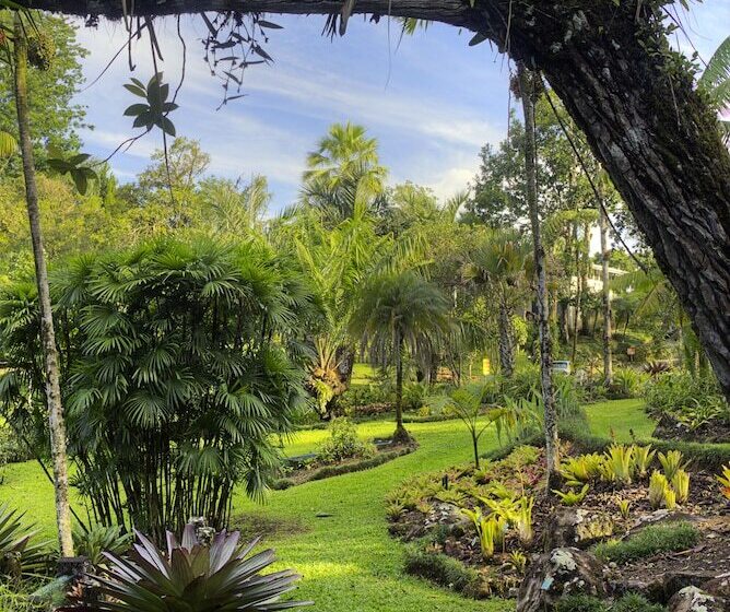 هتل Las Cruces Biological Station