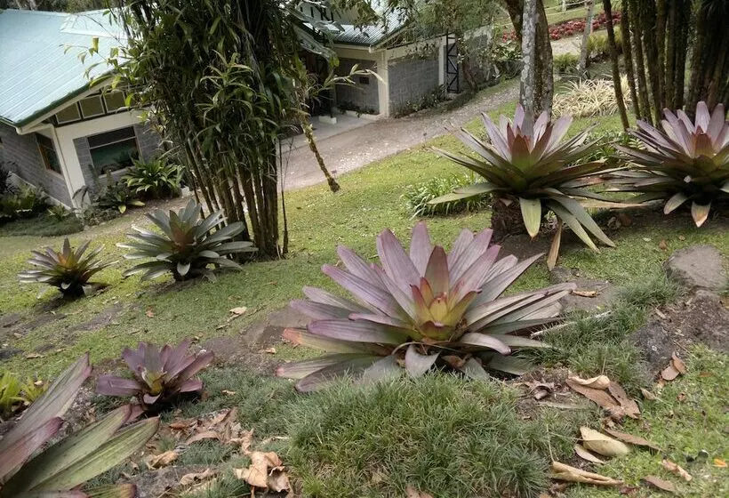 Hotelli Las Cruces Biological Station