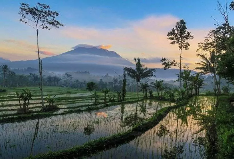 ホテル Sweet Escape