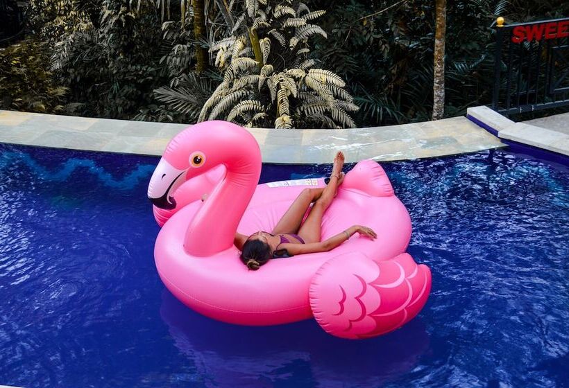 فندق Sweet Escape