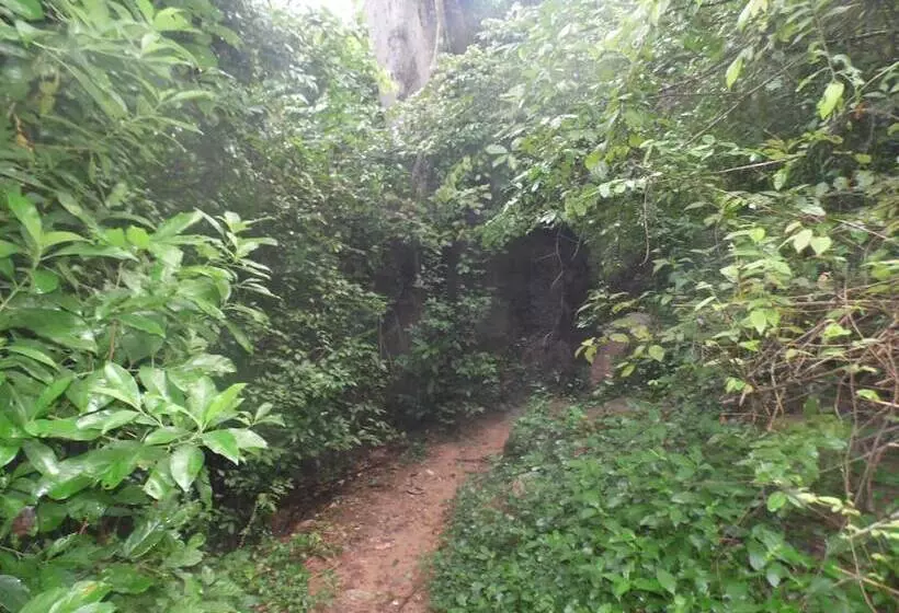 ペンション 3a's Guest House