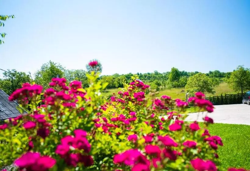 Pensiunea Agroturistica Raluca