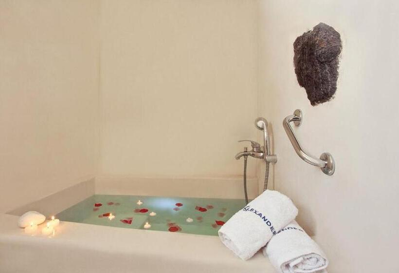 Hôtel Alexander's Suites