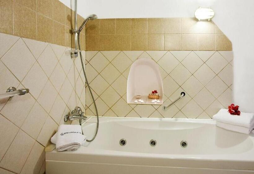 Hôtel Alexander's Suites