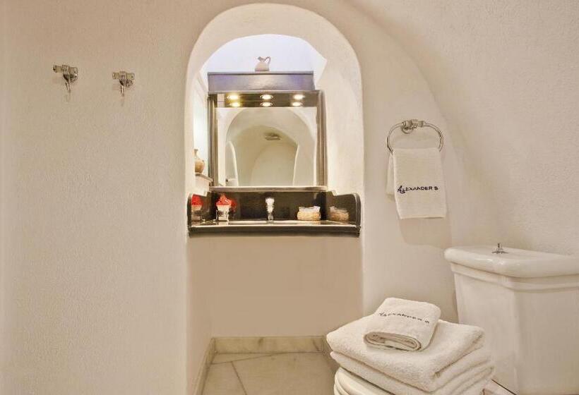 Hôtel Alexander's Suites