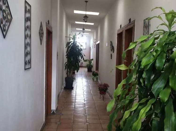 هتل Amador