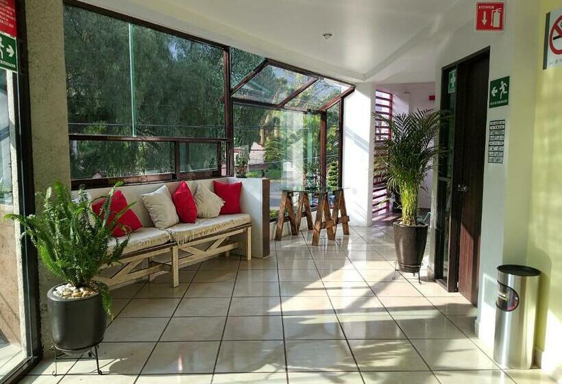 酒店 Boutique Acocalli