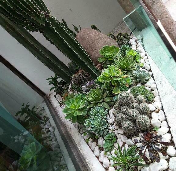 فندق Boutique Acocalli