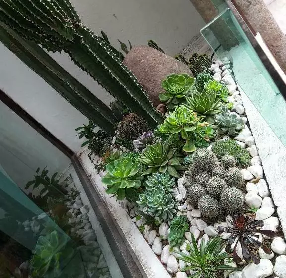 Hotelli Boutique Acocalli